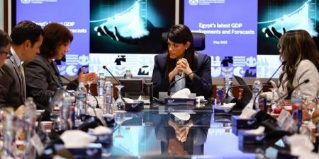 «المشاط» تنفيذ صارم لحوكمة الاستثمارات العامة - الكويت الاخباري