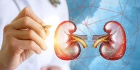 أبرزها الشعور بالتعب..  10 علامات تؤكد وجود مشاكل في الكلى - الكويت الاخباري