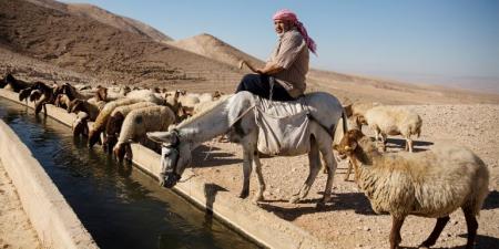 من دروس النكبة.. هكذا يواجه فلسطينيون محاولات تهجيرهم بالضفة - الكويت الاخباري