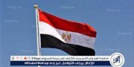 مصر تدين استمرار انتهاكات الاحتلال الإسرائيلي ضد المدنيين الفلسطينيين - الكويت الاخباري
