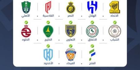 لجنة التراخيص تمنح الرخصة المحلية والآسيوية لـ 13 ناديا للموسم الرياضي 2025- 2026 - الكويت الاخباري