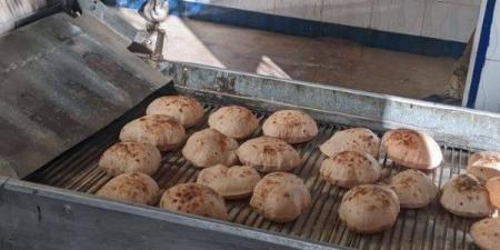 المنوفية.. ضبط 3 أطنان أسماك مدخنة ولحوم مجمدة مجهولة المصدر - الكويت الاخباري