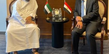 وزير الخارجية يلتقي وزير الدولة الإماراتي في بغداد - الكويت الاخباري