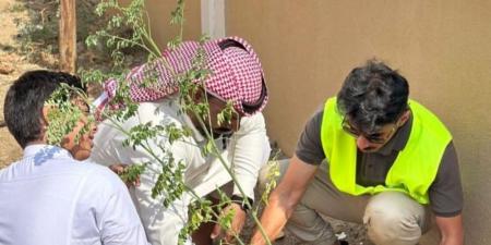 بالتفاصيل.. جامعة جدة توقع اتفاقية لتعزيز الاستدامة البيئية - الكويت الاخباري