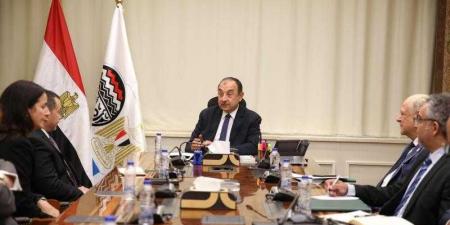 وزير قطاع الأعمال يلتقي وفدًا من ”بريتش بتروليوم” لمتابعة خطوات إعادة تشغيل مصنع الأنود بالعين السخنة - الكويت الاخباري