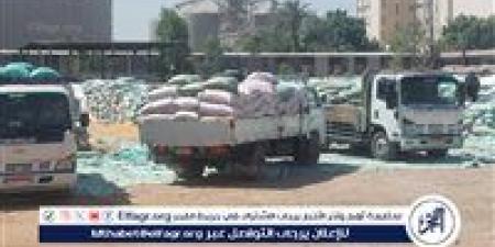 توريد 132 ألف طن قمح لـ 28 موقعًا تخزينيًا حتى اليوم فى أسيوط - الكويت الاخباري