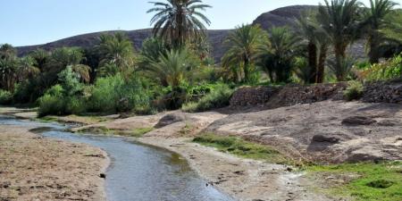 المغرب يوقع اتفاقيات بـ13 مليار دولار لتحلية مياه البحر وتعزيز الطاقة المتجددة - الكويت الاخباري