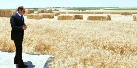 عضو اتحاد الصناعات: مصر حققت تقدما ملحوظا في مجال الأمن الغذائي - الكويت الاخباري