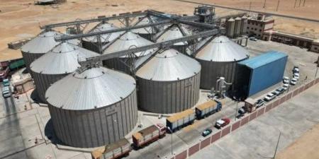 توريد 450 طن قمح بصوامع الوادي الجديد - الكويت الاخباري