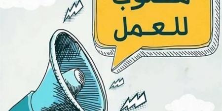 فرص برواتب مجزية لخريجي التعليم الفني بالإسكندرية - الكويت الاخباري