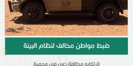 ضبط مواطن خالف نظام البيئة بالرعي في محمية - الكويت الاخباري