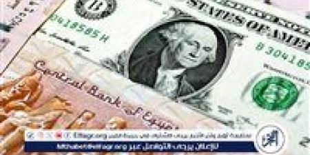 مصطفى بدرة يكشف سبب تراجع سعر الدولار أمام الجنيه - الكويت الاخباري