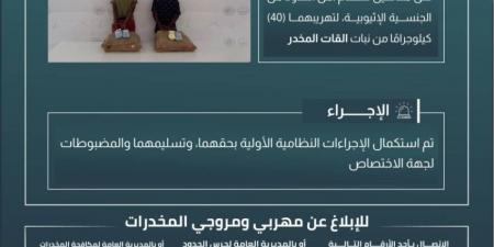 القبض على مخالفين لتهريبهما (40) كجم من القات بـالربوعة - الكويت الاخباري