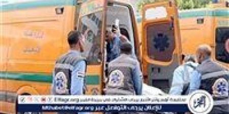 مصرع موظفة بديوان عام محافظة المنيا - الكويت الاخباري