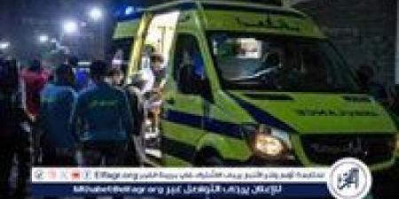 بسبب معاكسة البنات.. إصابة عامل بجرح قطعي بالرقبة في الدقهلية - الكويت الاخباري