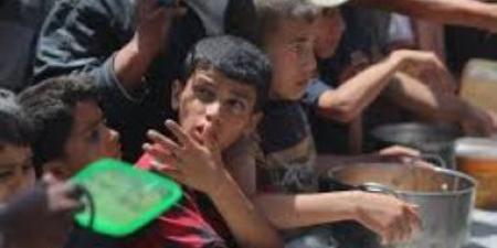 استئناف عمل عدة مخابز فى غزة بعد دخول كميات محدودة من الدقيق - الكويت الاخباري