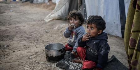 المنظمات الأهلية الفلسطينية أكثر من 70 ألف طفل مُصابون بسوء التغذية - الكويت الاخباري