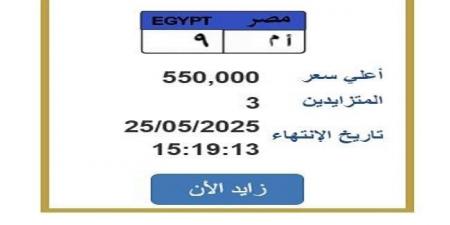 سعرها تخطى النصف مليون جنيه.. التزايد يشتعل على لوحة سيارة مميزة| اعرف الخطوات - الكويت الاخباري