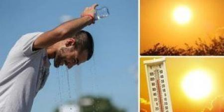 الأرصاد تحذر: موجة شديدة الحرارة تضرب البلاد - الكويت الاخباري