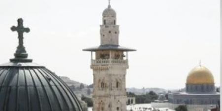 مستعمرون يحرقون 40 دونما مزروعة بالقمح بسبسطية قرب نابلس - الكويت الاخباري