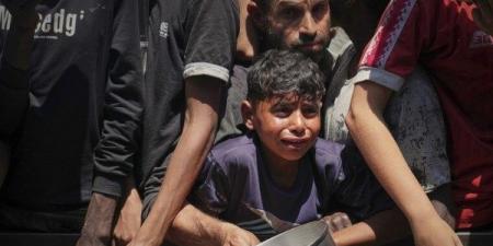 جيش الاحتلال يعلن تأجيل خطة توزيع الغذاء في غزة - الكويت الاخباري