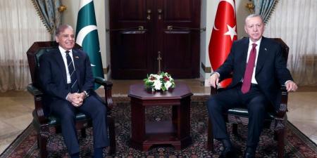 أردوغان وشهباز شريف يبحثان تعزيز التعاون بين تركيا وباكستان - الكويت الاخباري