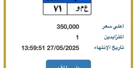 سعرها وصل لـ 350 ألف جنيه..طرح لوحة مميزة تحمل أحرف "ع م و" فى مزاد المرور - الكويت الاخباري