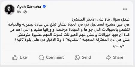 بسبب عيادة بيطرية.. نقابة الممثلين تدرس وقف آية سماحة ومشيرة إسماعيل ترفض الاعتذار - الكويت الاخباري