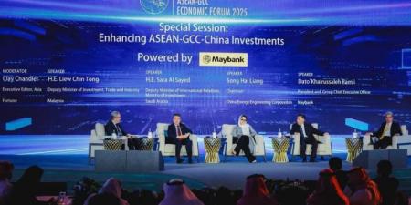 الاستثمار تشارك في عدد من فعاليات المنتدى الاقتصادي لدول الآسيان ومجلس التعاون والصين - الكويت الاخباري