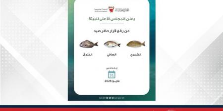 المجلس الأعلى للبيئة يعلن انتهاء فترة حظر صيد أسماك الشعري والصافي والعندق ‎ - الكويت الاخباري