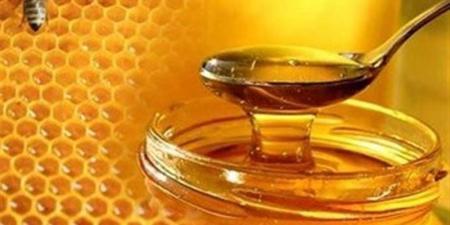 اختبارات بسيطة لاكتشاف العسل المغشوش في المنزل - الكويت الاخباري