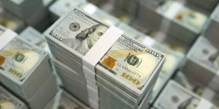 الأخضر بكام؟.. سعر الدولار مقابل الجنيه اليوم الخميس 29 مايو 2025 - الكويت الاخباري