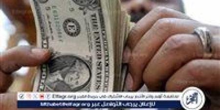 سعر الدولار اليوم الخميس 29 مايو 2025 أمام الجنيه المصري في البنوك - الكويت الاخباري