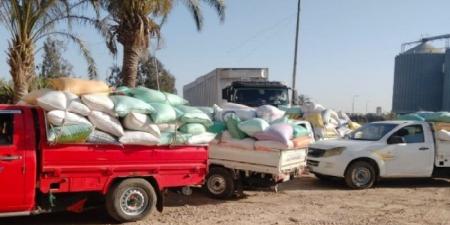 توريد أكثر من 287 ألف طن قمح لشون وصوامع البحيرة - الكويت الاخباري