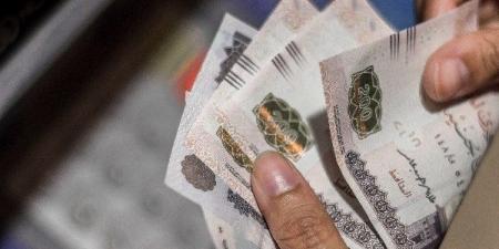 1500 جنيه دعمًا قبل العيد.. تفاصيل صرف منحة عيد الأضحى للعمالة غير المنتظمة - الكويت الاخباري