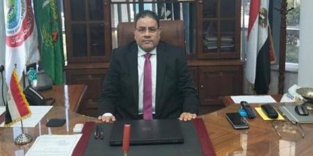96 دورة تدريبية.. المنوفية تُطلق جيلًا رقميًا جديدًا في وحدات الرعاية الصحية - الكويت الاخباري