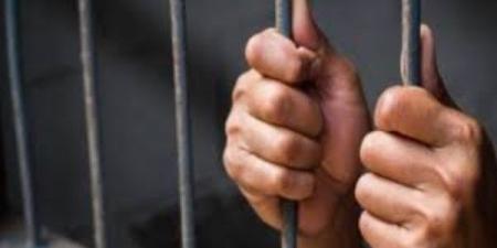 ضبط صاحب مقهي لاتجاره في النعام والكلاب والنسانيس في المحلة - الكويت الاخباري
