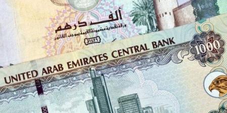 سعر الدرهم الإماراتي مقابل الجنيه المصري اليوم السبت 31 مايو 2025 وفقا لآخر تحديث - الكويت الاخباري