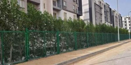 مقلب القمامة يؤذي السكان - الكويت الاخباري
