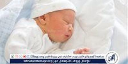 ????هل تعلم أن هناك دولة بلا أطفال أو زواج؟ تعرف على أصغر وأغرب دولة في العالم - الكويت الاخباري