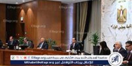 مدبولي: الموارد الدولارية تغطي الاحتياجات للأسبوع الثالث.. مؤشرات إيجابية للاقتصاد المصري - الكويت الاخباري