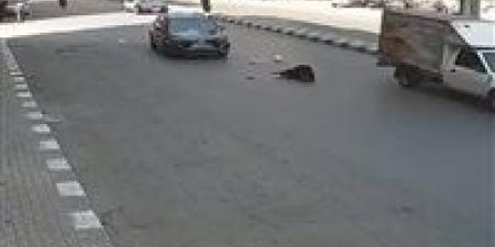 سيارة متهورة تدهس أسرة على دائري المنيب.. والنيابة تفتح تحقيق - الكويت الاخباري