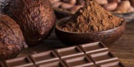 مزارعوكوت ديفواريأملون المزيد من الأمطار لضمان إمداد العالم بالكاكاو - الكويت الاخباري