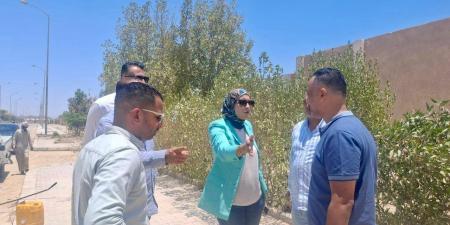  رئيس جهاز السويس الجديدة: نواصل دعم المستثمرين وتطوير البنية التحتية - الكويت الاخباري