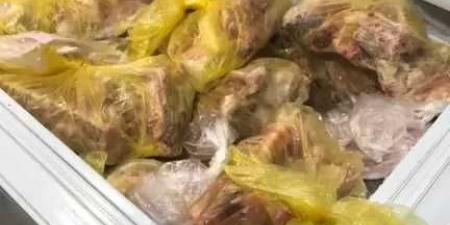 ضبط 600 كيلو منتجات لحوم مجهولة المصدر بأحد المطاعم الشهيرة الغير مرخصه ببنها - الكويت الاخباري