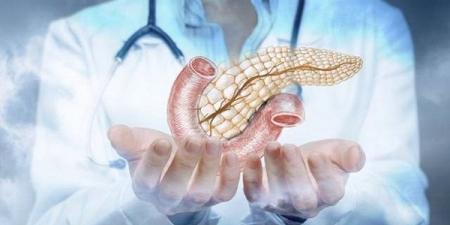 علامات لا يجب تجاهلها قد تنذر بأمراض البنكرياس #الصحة #منوعات #اخبار_الصحة #اخبار_منوعة #لايف_ستايل #الجمهورية_أون_لاين - الكويت الاخباري