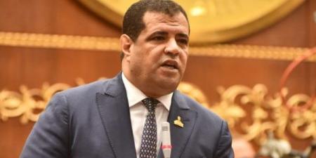 عضو بالشيوخ: بيان الخارجية يؤكد ثوابت الدولة المصرية الداعمة للقضية الفلسطينية - الكويت الاخباري
