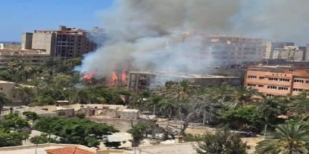 حريق هائل يلتهم أشجارًا بشارع بيانكي غرب الإسكندرية دون إصابات - الكويت الاخباري
