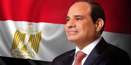 ائتلاف الجاليات المصرية فى أوروبا يدعم قرارات الدولة المصرية - الكويت الاخباري