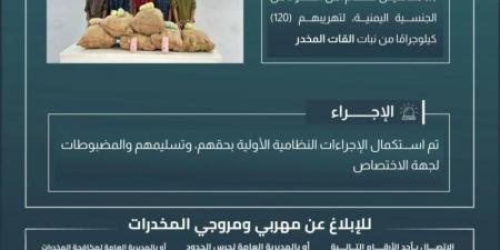 حرس الحدود بجازان يقبض على (5) مخالفين لتهريبهم (120) كيلوجرامًا من القات المخدر - الكويت الاخباري